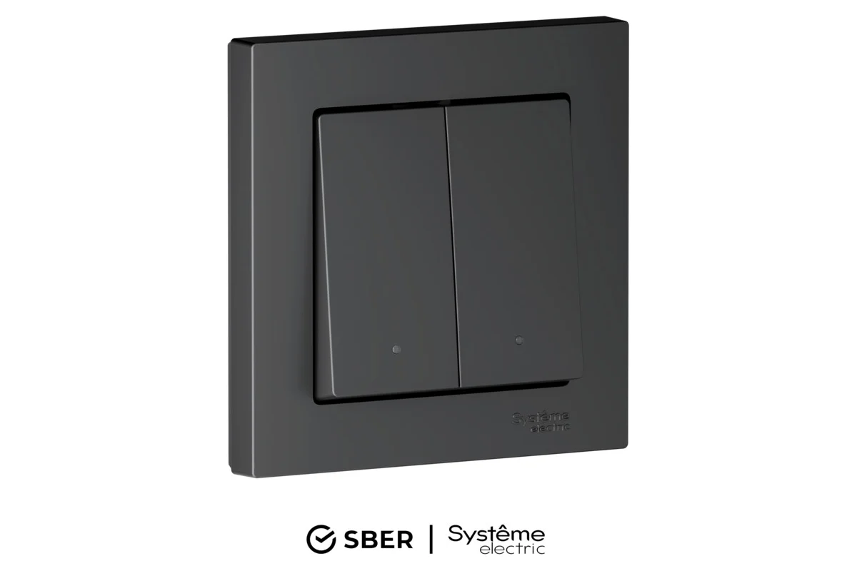 ATLASDESIGN SMART Zigbee выключатель 2-кл ATN001053Z Systeme Electric карбон